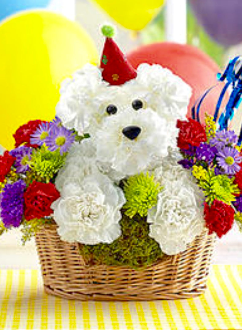 Carnation Dog Floral Xpressions