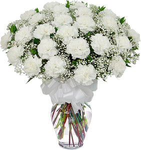 24 Carnations in vase